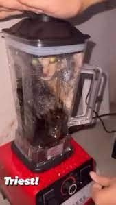 cat in the blender video twitter|I watched the cat blender video out of curiosity and now i can